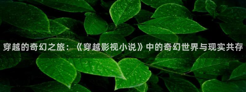 久久影院伦理在线