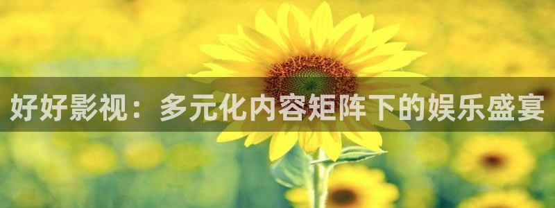 久久精品麻豆影院